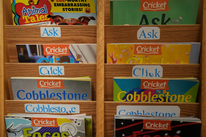 3. Sınıf 5. Ünite İngilizce Testi