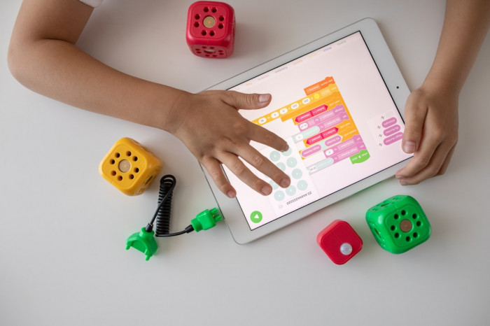 İngilizce 7. Sınıf Cevap Anahtarı